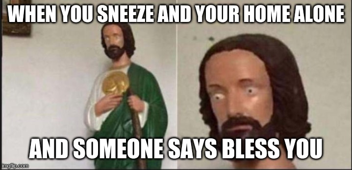Wide eyed jesus | WHEN YOU SNEEZE AND YOUR HOME ALONE; AND SOMEONE SAYS BLESS YOU | image tagged in wide eyed jesus | made w/ Imgflip meme maker