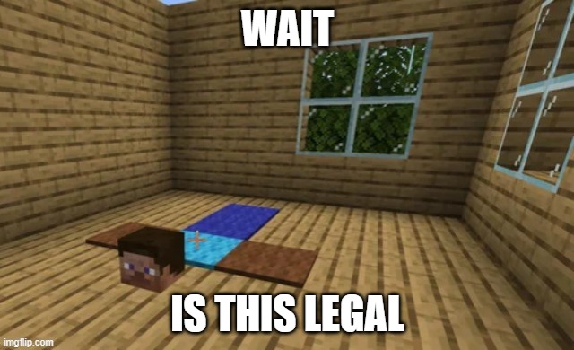 WAIT; IS THIS LEGAL | image tagged in minecraft steve | made w/ Imgflip meme maker