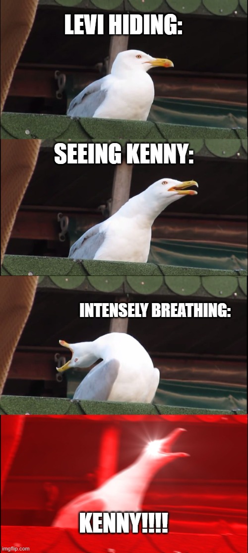 Inhaling Seagull | LEVI HIDING:; SEEING KENNY:; INTENSELY BREATHING:; KENNY!!!! | image tagged in memes,inhaling seagull | made w/ Imgflip meme maker
