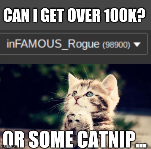 soo closee |  CAN I GET OVER 100K? OR SOME CATNIP... | image tagged in cute kitten,upvote begging | made w/ Imgflip meme maker