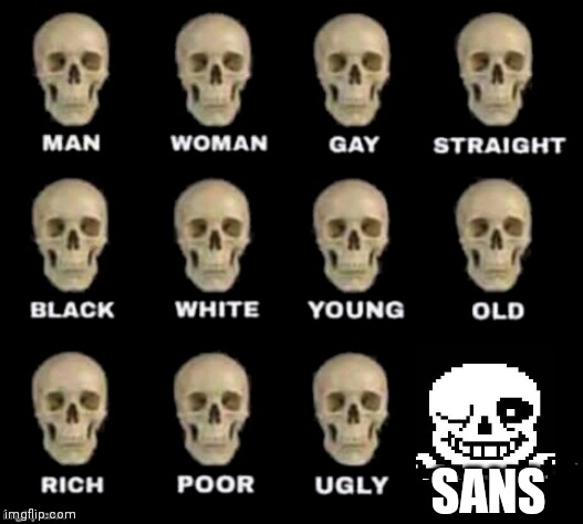idiot skull | SANS | image tagged in idiot skull,sans undertale | made w/ Imgflip meme maker