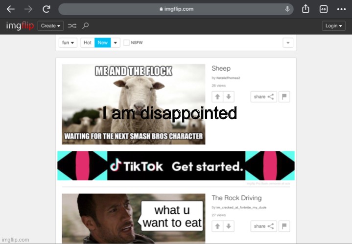Disappointed | I am disappointed | image tagged in memes,tiktok,funny,imgflip | made w/ Imgflip meme maker