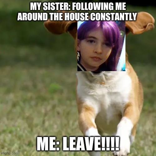 Dog ;) | MY SISTER: FOLLOWING ME AROUND THE HOUSE CONSTANTLY; ME: LEAVE!!!! | image tagged in dog,annoying people,sister | made w/ Imgflip meme maker