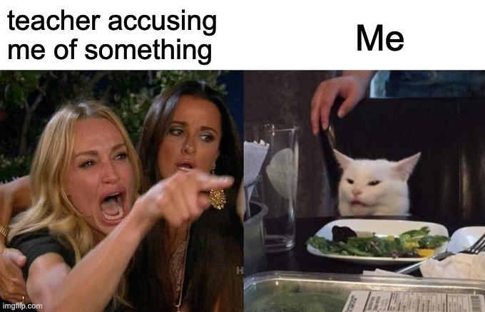 Woman Yelling At Cat | teacher accusing me of something; Me | image tagged in memes,woman yelling at cat | made w/ Imgflip meme maker