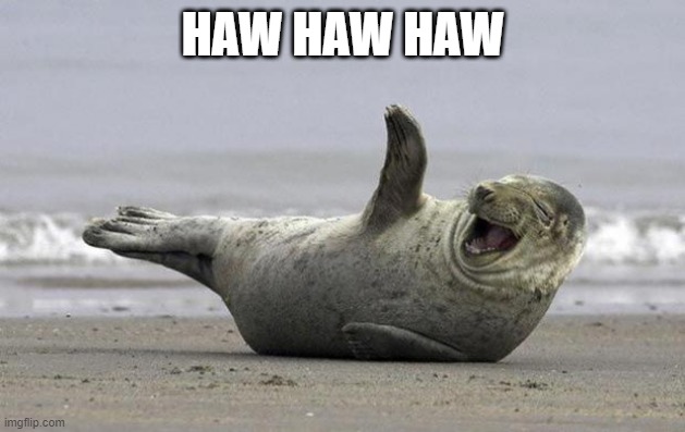 laughing seal | HAW HAW HAW | image tagged in laughing seal | made w/ Imgflip meme maker