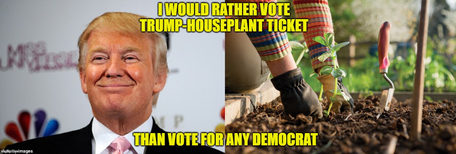 I WOULD RATHER VOTE TRUMP-HOUSEPLANT TICKET THAN VOTE FOR ANY DEMOCRAT | image tagged in donald trump approves,gardening | made w/ Imgflip meme maker