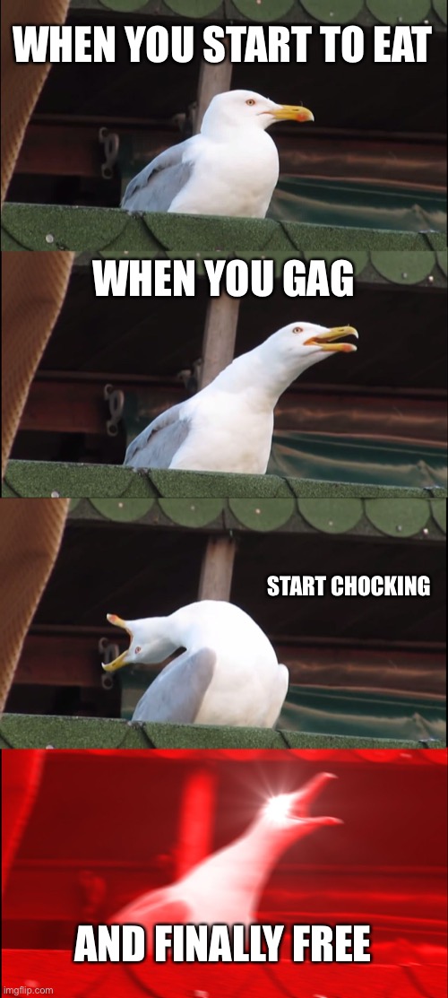 Inhaling Seagull | WHEN YOU START TO EAT; WHEN YOU GAG; START CHOCKING; AND FINALLY FREE | image tagged in memes,inhaling seagull | made w/ Imgflip meme maker