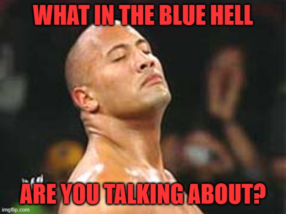 The Rock Smelling | WHAT IN THE BLUE HELL ARE YOU TALKING ABOUT? | image tagged in the rock smelling | made w/ Imgflip meme maker