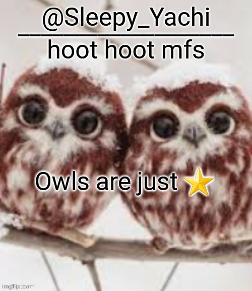 Yachi's owl temp | Owls are just ⭐ | image tagged in yachi's owl temp | made w/ Imgflip meme maker