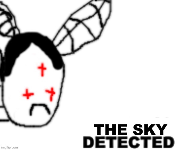 BLANK DETECTED | THE SKY | image tagged in blank detected | made w/ Imgflip meme maker
