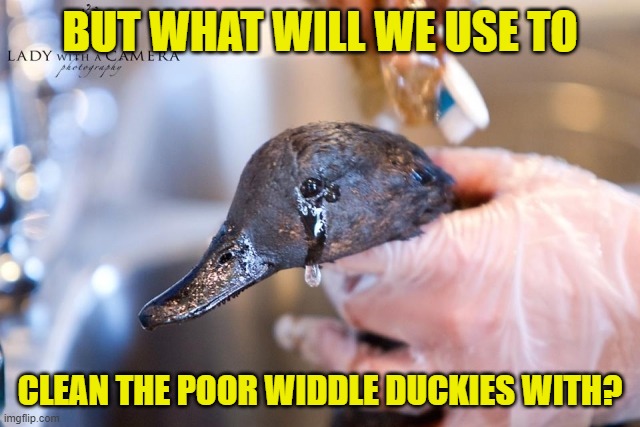 Duck crying oil spill  | BUT WHAT WILL WE USE TO CLEAN THE POOR WIDDLE DUCKIES WITH? | image tagged in duck crying oil spill | made w/ Imgflip meme maker