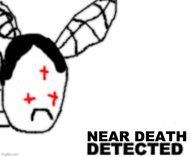 BLANK DETECTED | NEAR DEATH | image tagged in blank detected | made w/ Imgflip meme maker
