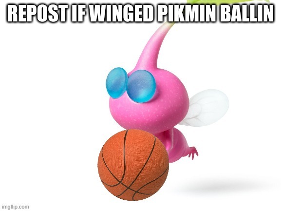 *dies from noticing perfection* | REPOST IF WINGED PIKMIN BALLIN | made w/ Imgflip meme maker