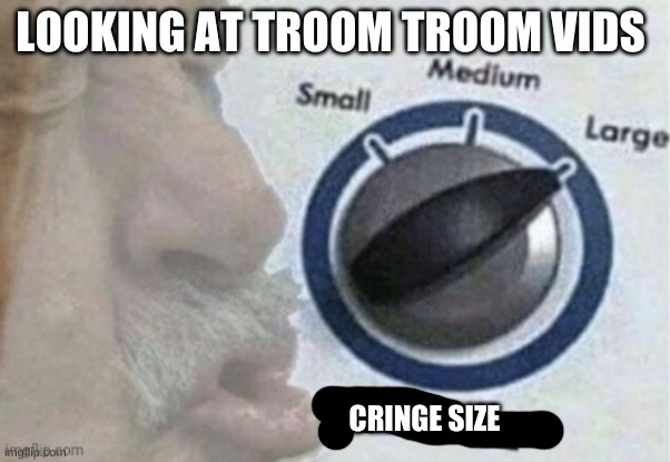 OOF SIZE | LOOKING AT TROOM TROOM VIDS; CRINGE SIZE | image tagged in oof size | made w/ Imgflip meme maker