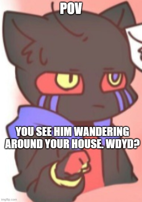 RP with Cat!Error Sans (Please don't use OP OC's) | POV; YOU SEE HIM WANDERING AROUND YOUR HOUSE. WDYD? | image tagged in cat,error,sans,is,too cute,pov | made w/ Imgflip meme maker