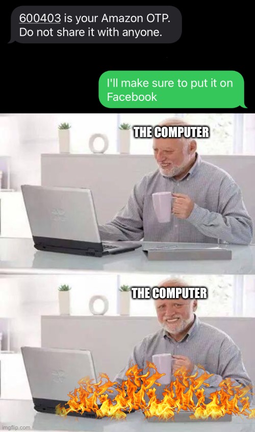 Troll compuder | THE COMPUTER; THE COMPUTER | image tagged in memes,hide the pain harold | made w/ Imgflip meme maker