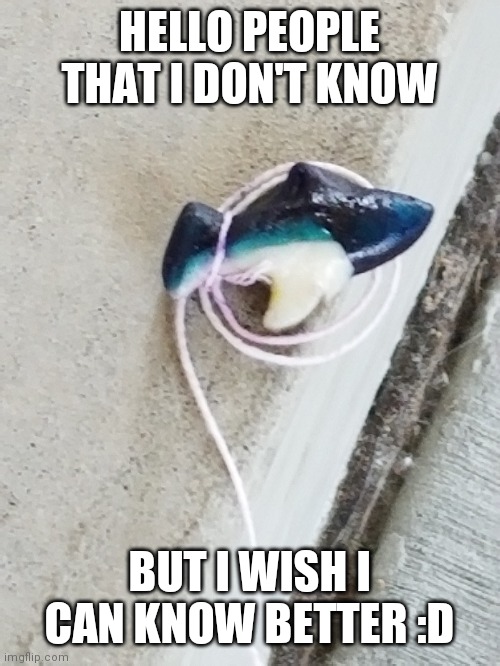 I can't draw for shit so... no oc pics sadly |  HELLO PEOPLE THAT I DON'T KNOW; BUT I WISH I CAN KNOW BETTER :D | image tagged in gummy fish on a string,i saw this at school once,e | made w/ Imgflip meme maker