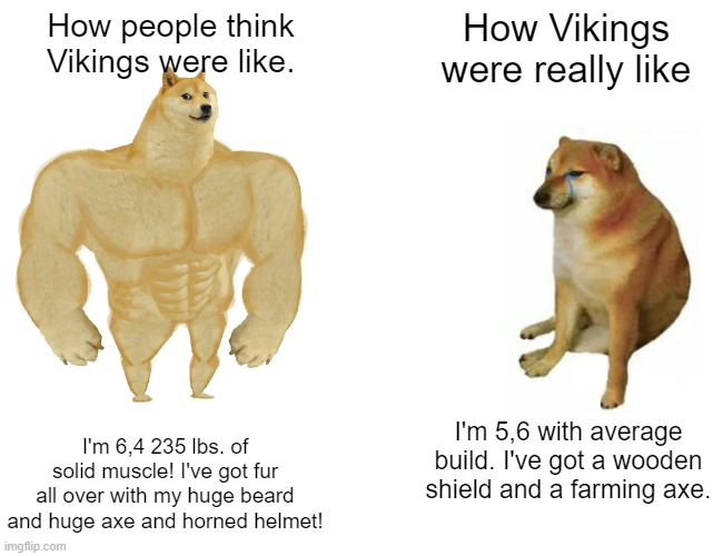 I'm NOT saying Vikings were wimps. Far from it! Just reality vs. Hollywood | How people think Vikings were like. How Vikings were really like; I'm 6,4 235 lbs. of solid muscle! I've got fur all over with my huge beard and huge axe and horned helmet! I'm 5,6 with average build. I've got a wooden shield and a farming axe. | image tagged in memes,buff doge vs cheems,history,vikings,hollywood | made w/ Imgflip meme maker