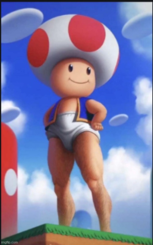 if toad was a smash fighter | image tagged in toad | made w/ Imgflip meme maker