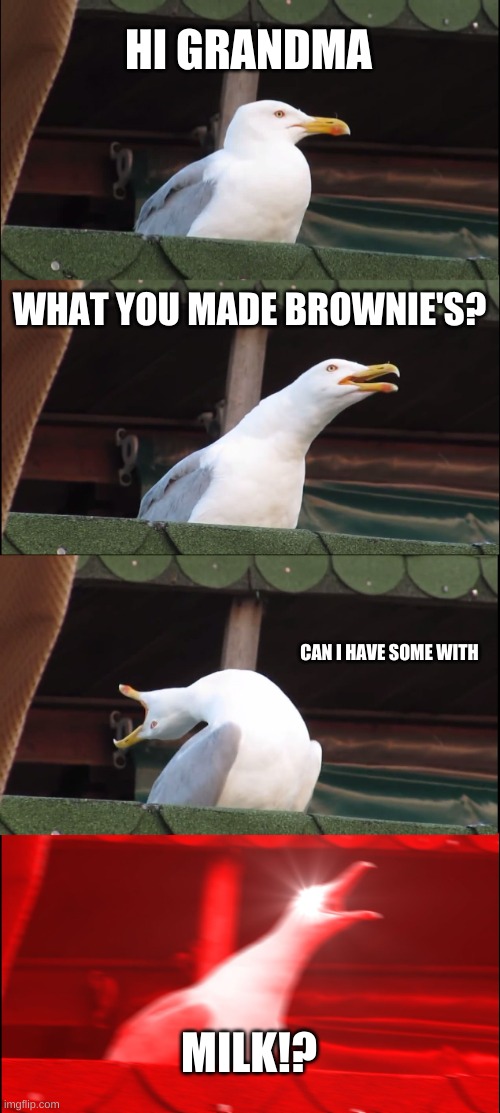 Inhaling Seagull | HI GRANDMA; WHAT YOU MADE BROWNIE'S? CAN I HAVE SOME WITH; MILK!? | image tagged in memes,inhaling seagull | made w/ Imgflip meme maker