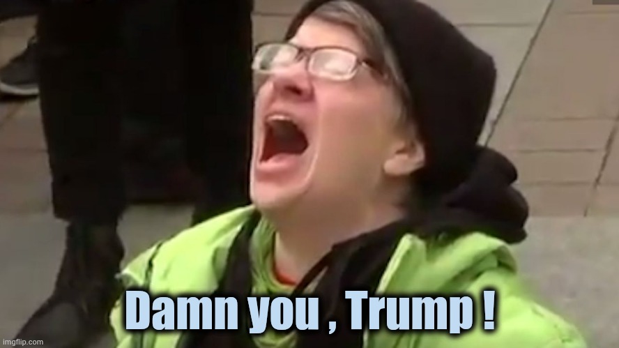 Screaming Liberal  | Damn you , Trump ! | image tagged in screaming liberal | made w/ Imgflip meme maker