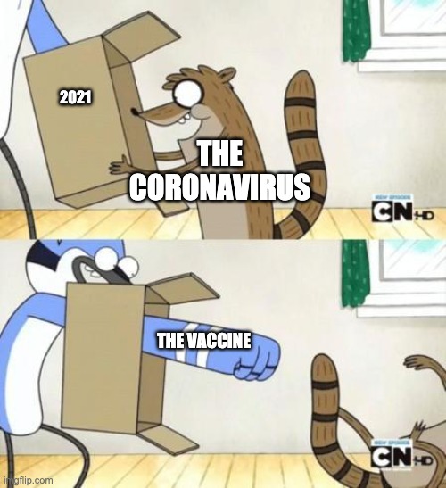 Vaccine VS Covid-19 | 2021; THE CORONAVIRUS; THE VACCINE | image tagged in mordecai punches rigby through a box | made w/ Imgflip meme maker