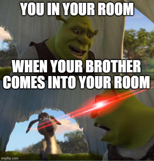 Shrek For Five Minutes | YOU IN YOUR ROOM; WHEN YOUR BROTHER COMES INTO YOUR ROOM | image tagged in shrek for five minutes | made w/ Imgflip meme maker