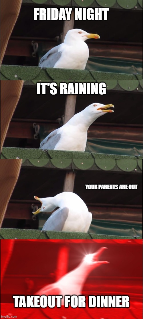 Inhaling Seagull | FRIDAY NIGHT; IT'S RAINING; YOUR PARENTS ARE OUT; TAKEOUT FOR DINNER | image tagged in memes,inhaling seagull | made w/ Imgflip meme maker