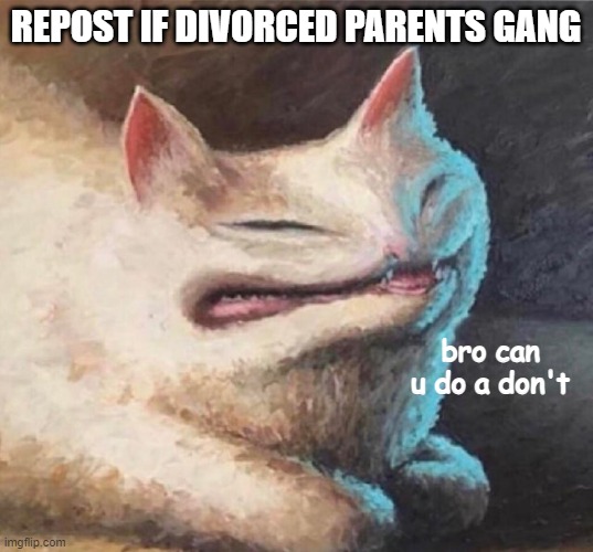 bro can u do a dont | REPOST IF DIVORCED PARENTS GANG | image tagged in bro can u do a dont | made w/ Imgflip meme maker