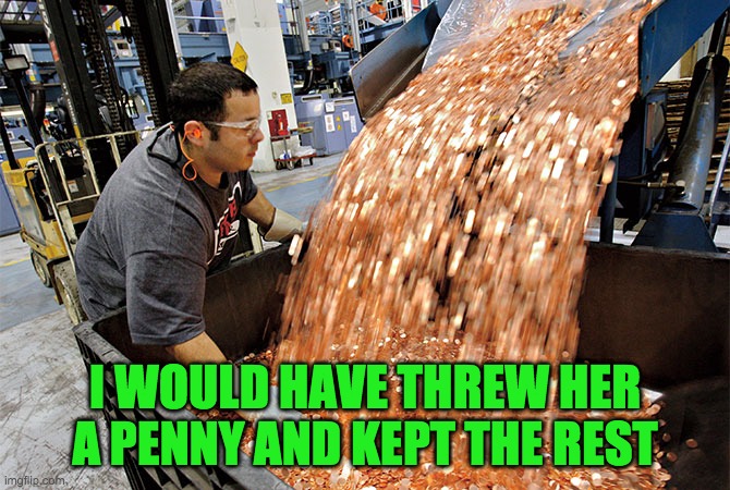 If I had a penny for every time | I WOULD HAVE THREW HER A PENNY AND KEPT THE REST | image tagged in if i had a penny for every time | made w/ Imgflip meme maker