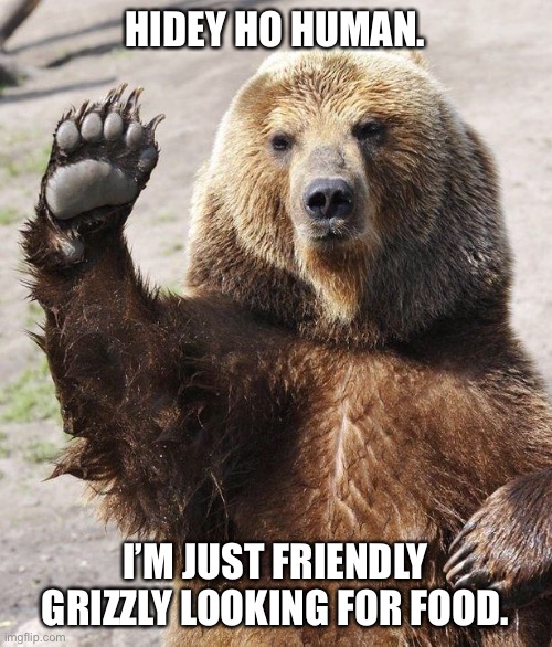 Hello bear | HIDEY HO HUMAN. I’M JUST FRIENDLY GRIZZLY LOOKING FOR FOOD. | image tagged in hello bear | made w/ Imgflip meme maker