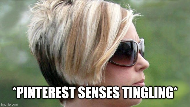 Karen | *PINTEREST SENSES TINGLING* | image tagged in karen | made w/ Imgflip meme maker