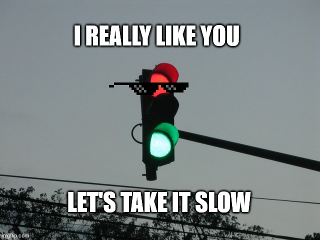 Dating Signals |  I REALLY LIKE YOU; LET'S TAKE IT SLOW | image tagged in traffic lights,dating,signal | made w/ Imgflip meme maker