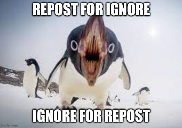 You have angered pingu | REPOST FOR IGNORE; IGNORE FOR REPOST | image tagged in you have angered pingu | made w/ Imgflip meme maker