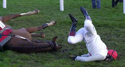 High Quality Trip and fall horse and jockey 14 Blank Meme Template