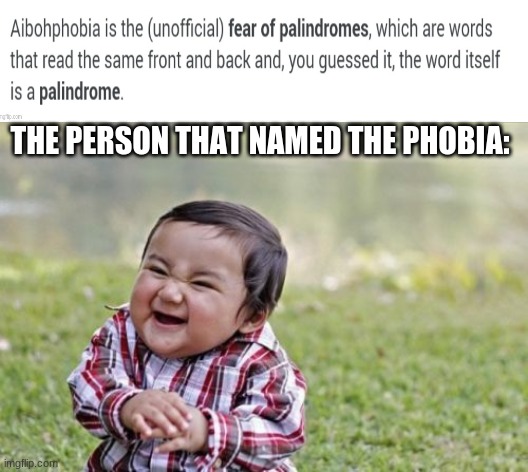 Idea from Bryce_The_Woomy_Boi | THE PERSON THAT NAMED THE PHOBIA: | image tagged in memes,evil toddler,because thats what heroes do | made w/ Imgflip meme maker