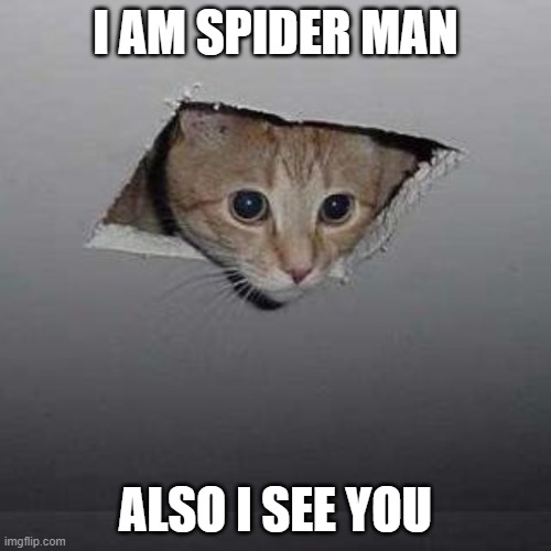 Ceiling Cat | I AM SPIDER MAN; ALSO I SEE YOU | image tagged in memes,ceiling cat | made w/ Imgflip meme maker