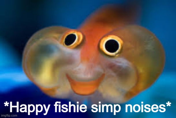 Happy fish | *Happy fishie simp noises* | image tagged in happy fish | made w/ Imgflip meme maker