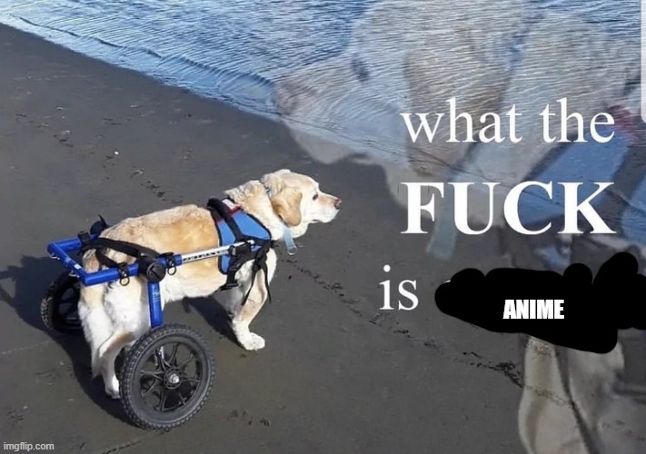 What the fuck is oatmeal | ANIME | image tagged in what the fuck is oatmeal | made w/ Imgflip meme maker