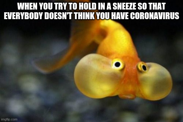 Fish | WHEN YOU TRY TO HOLD IN A SNEEZE SO THAT EVERYBODY DOESN'T THINK YOU HAVE CORONAVIRUS | image tagged in fish,fun,coronavirus | made w/ Imgflip meme maker