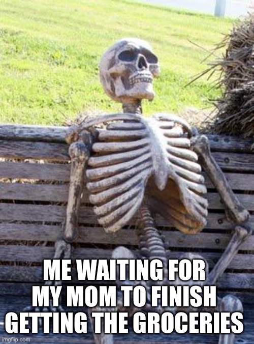 Waiting Skeleton | ME WAITING FOR MY MOM TO FINISH GETTING THE GROCERIES | image tagged in memes,waiting skeleton | made w/ Imgflip meme maker