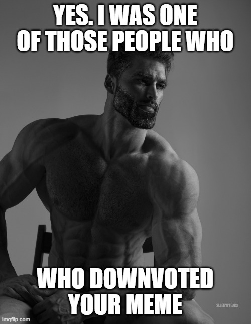 Giga Chad | YES. I WAS ONE OF THOSE PEOPLE WHO WHO DOWNVOTED YOUR MEME | image tagged in giga chad | made w/ Imgflip meme maker