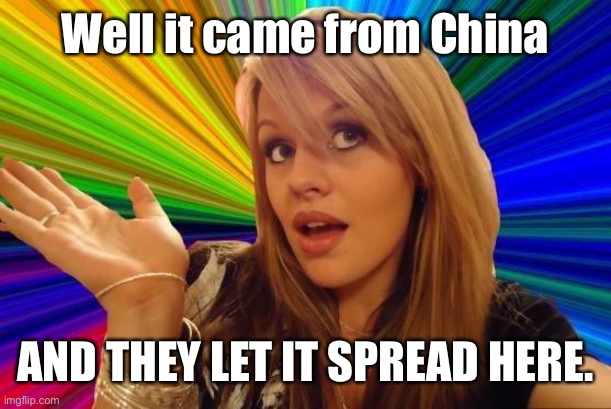 Dumb Blonde Meme | Well it came from China AND THEY LET IT SPREAD HERE. | image tagged in memes,dumb blonde | made w/ Imgflip meme maker
