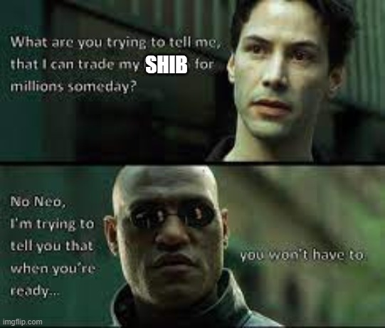 Shib pill | SHIB | image tagged in matrix morpheus,red pill blue pill,shiba inu,cryptocurrency | made w/ Imgflip meme maker