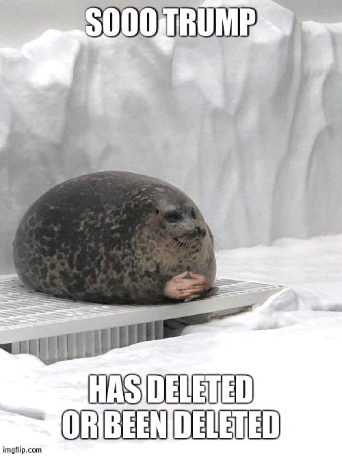 I am officially president then, we are out of da confusing era | SOOO TRUMP; HAS DELETED OR BEEN DELETED | image tagged in seal hands,era | made w/ Imgflip meme maker
