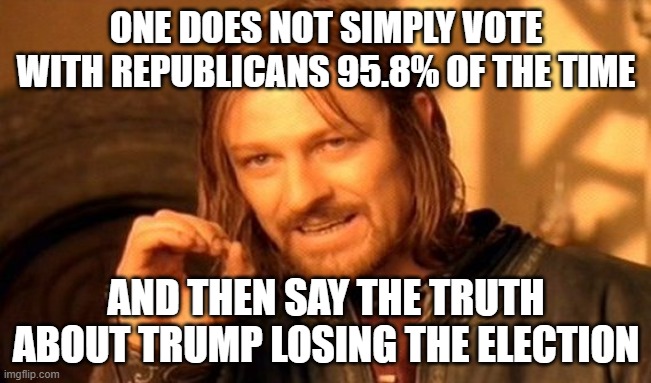 Buy-bye, Liz. You gonna lose your position then yo job. | ONE DOES NOT SIMPLY VOTE WITH REPUBLICANS 95.8% OF THE TIME; AND THEN SAY THE TRUTH ABOUT TRUMP LOSING THE ELECTION | image tagged in memes,one does not simply | made w/ Imgflip meme maker