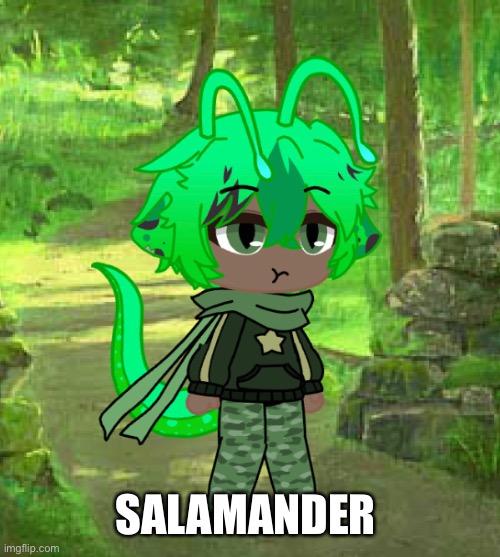 SALAMANDER | made w/ Imgflip meme maker