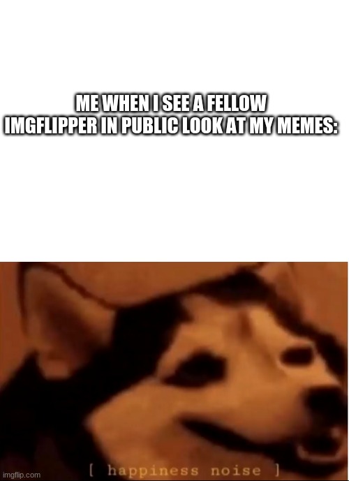 Pure ecstasy, I call it. | ME WHEN I SEE A FELLOW IMGFLIPPER IN PUBLIC LOOK AT MY MEMES: | image tagged in blank white template,hapiness noise,thanks,stop reading the tags,why are you reading this | made w/ Imgflip meme maker