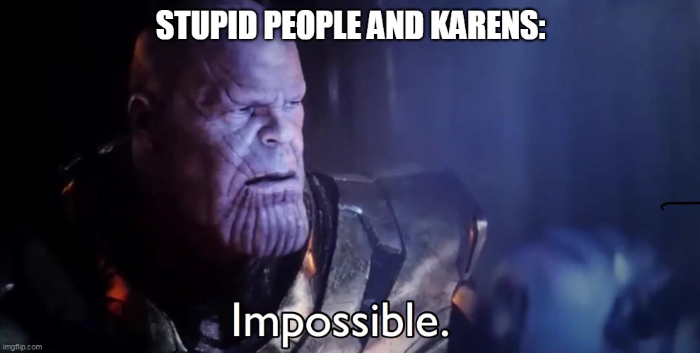 Thanos Impossible | STUPID PEOPLE AND KARENS: | image tagged in thanos impossible | made w/ Imgflip meme maker