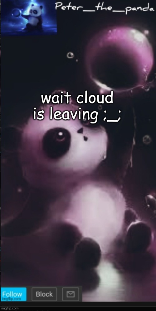 ;_; | wait cloud is leaving ;_; | image tagged in peter_the_panda template | made w/ Imgflip meme maker